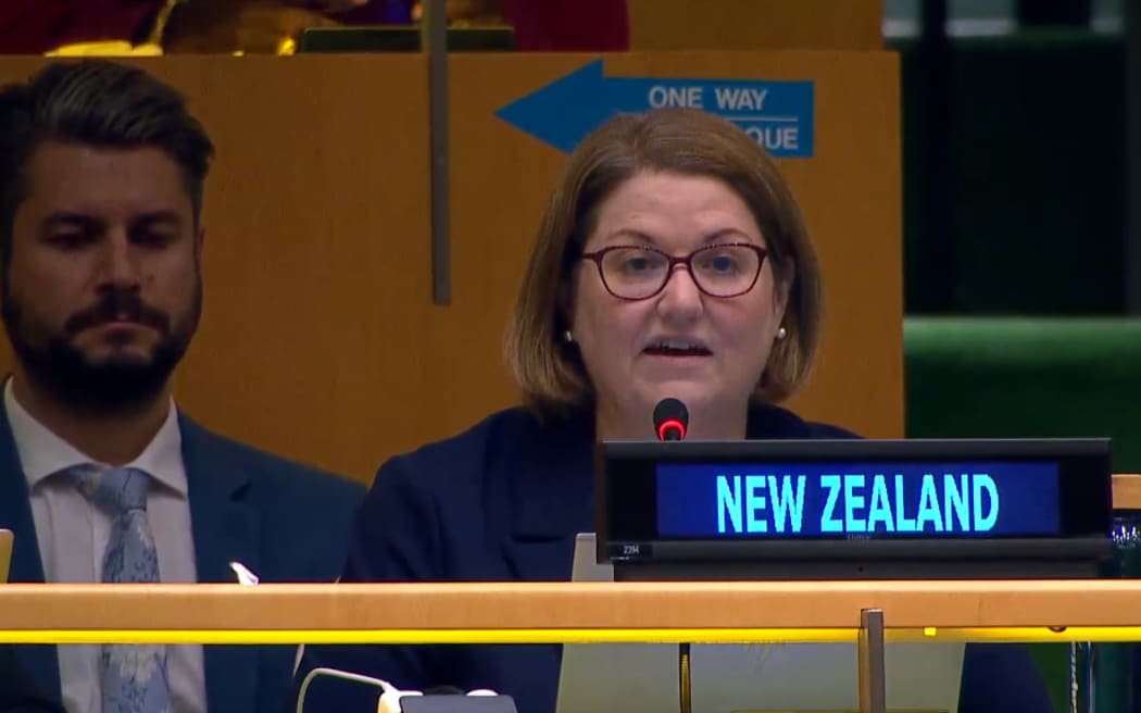 New Zealand ambassador to the UN Carolyn Schwalger speaking at the UN General Assembly after voting in favour of a resolution calling for a humanitarian truce in the Israel-Gaza conflict.