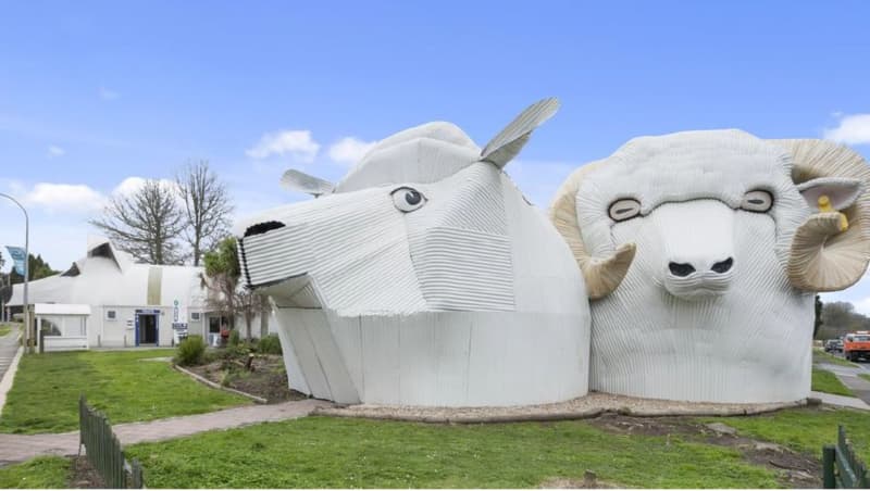 Sheep and ram building, Tirau