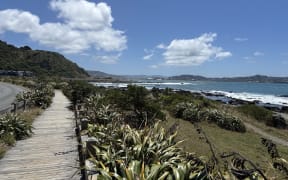 Te Raekaihau Point in Wellington.