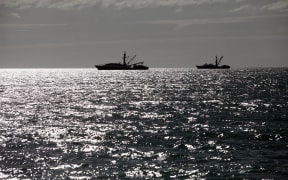 Commercial fishing boats in Tasman Bay, Nelson