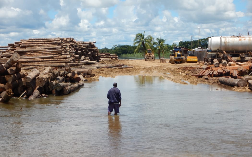 Logging piles on the Sepik River in Papua New Guinea.