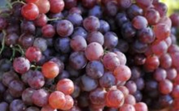 grapes