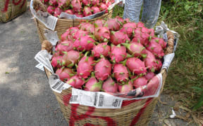 Dragon fruit developed by Plant and Food Research.