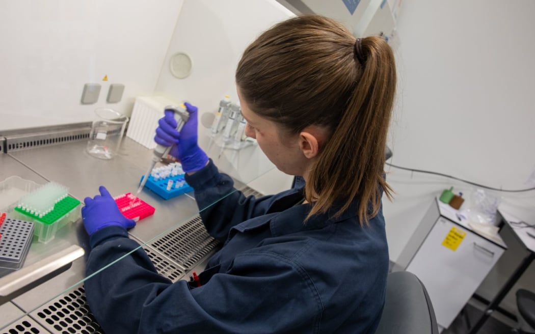 A worker at Opo Bio's lab in Newmarket, Auckland.