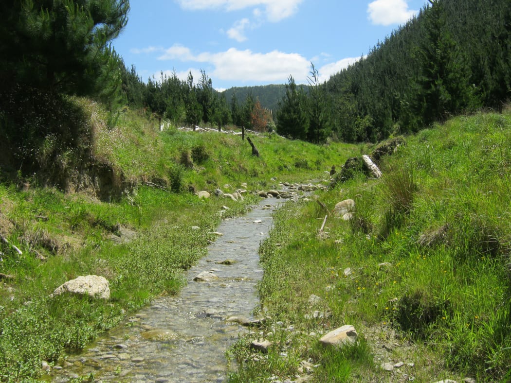 Existing riparian setback zones that will be established in native plants to create a permanent buffer around the waterways.