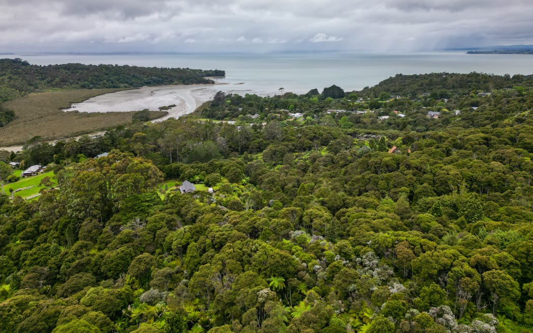 Why planning reforms have people concerned about the Waitākere Ranges ...