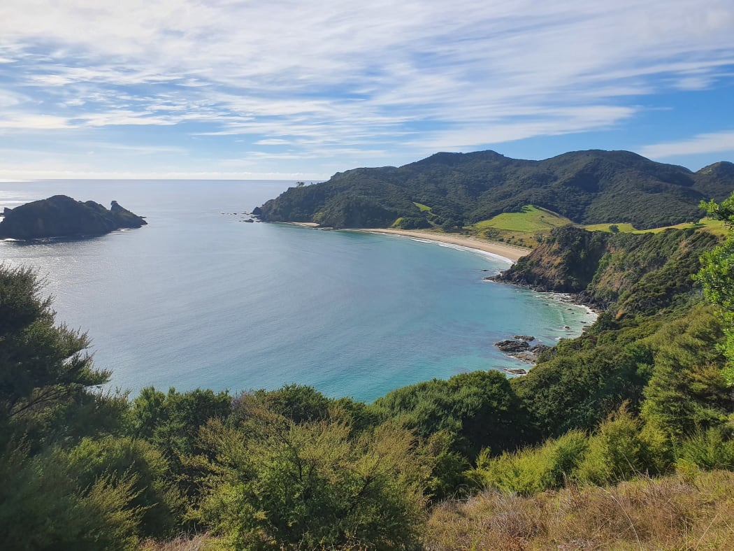 Great Barrier Island