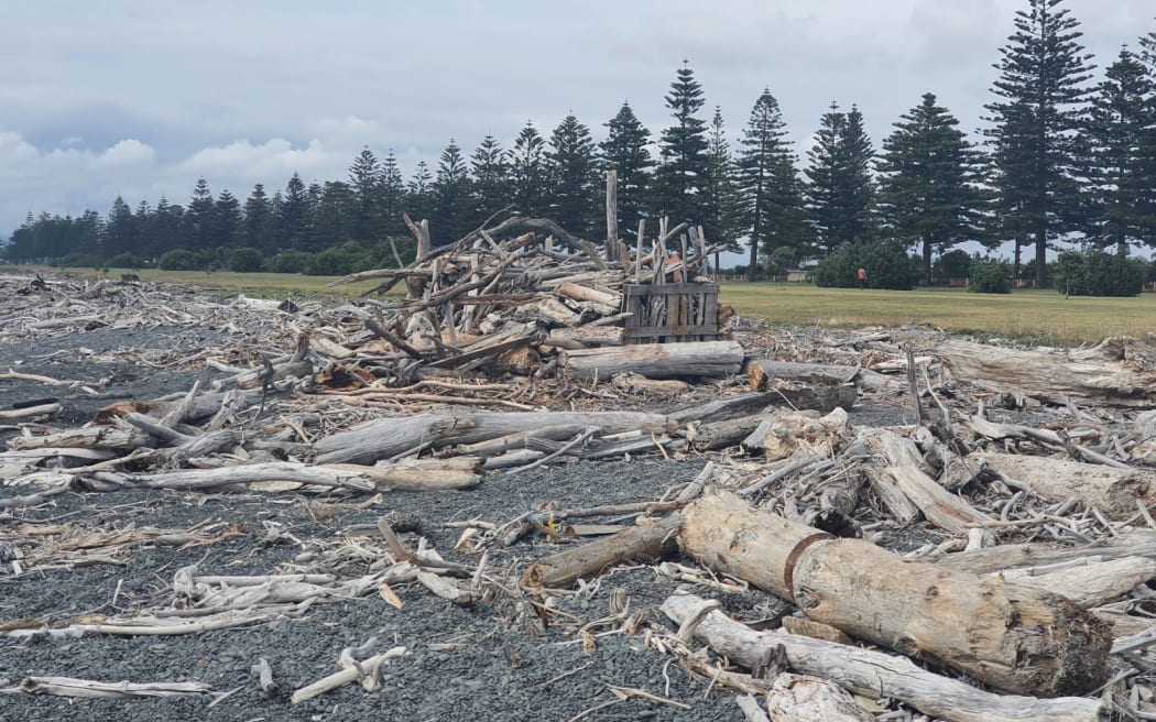 Woody debris on the beach by Marine Parade.