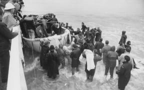Coming ashore in Seatoun.