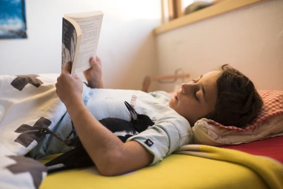 Penguin Bloom | A Gallery from Nine To Noon | RNZ National