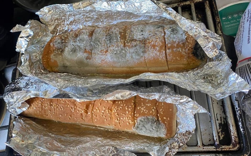 Mouldy garlic bread bought from a Countdown store in Christchurch.