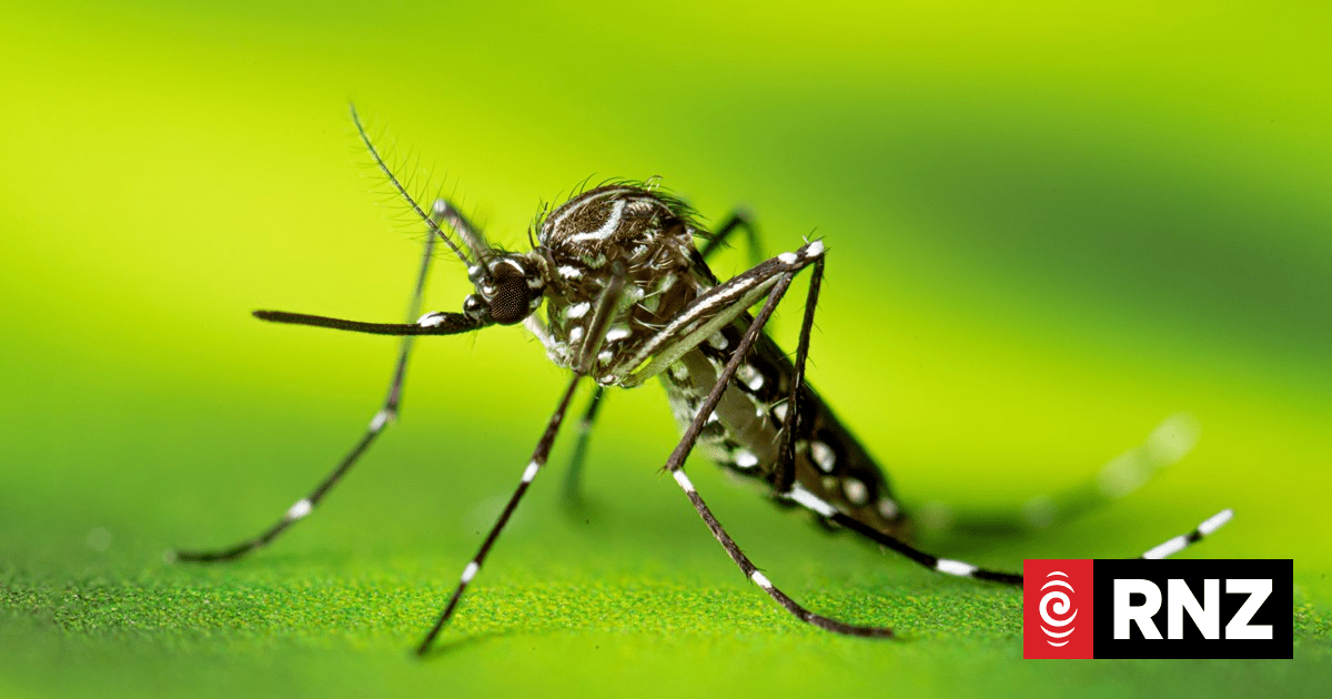 Cook Islands reports first dengue death in current outbreak