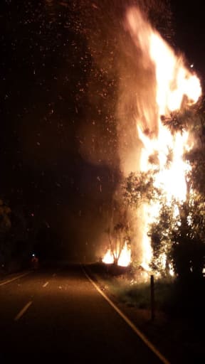 Flames from the fire reached tens of metres into the air.