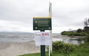 Taupo algae bloom