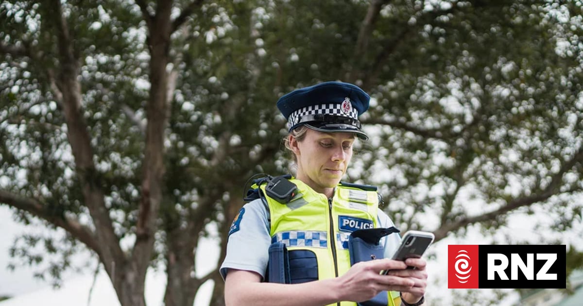 Powers v systems: Do police get more of one despite absence of other?