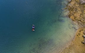 Seagrass in Marlborough Sounds - single use only