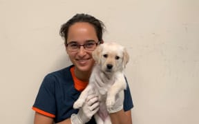 Gita Gnanadesikan with research puppies at the Arizona Canine Cognition Centre