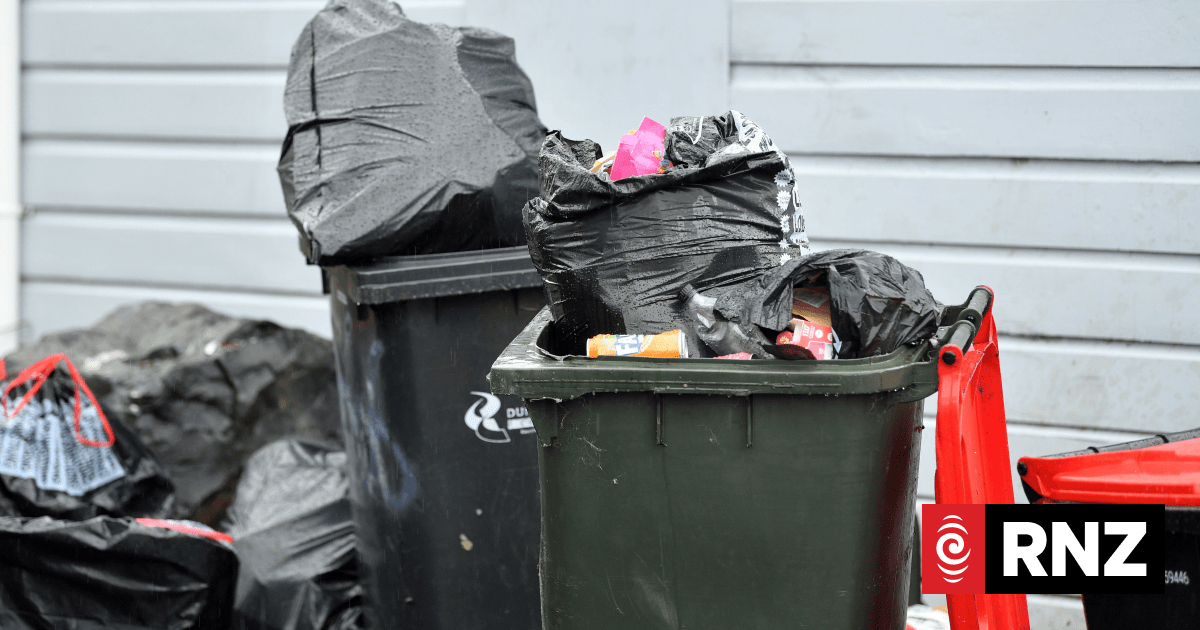 New Zealand generates double the global average of rubbish, report says