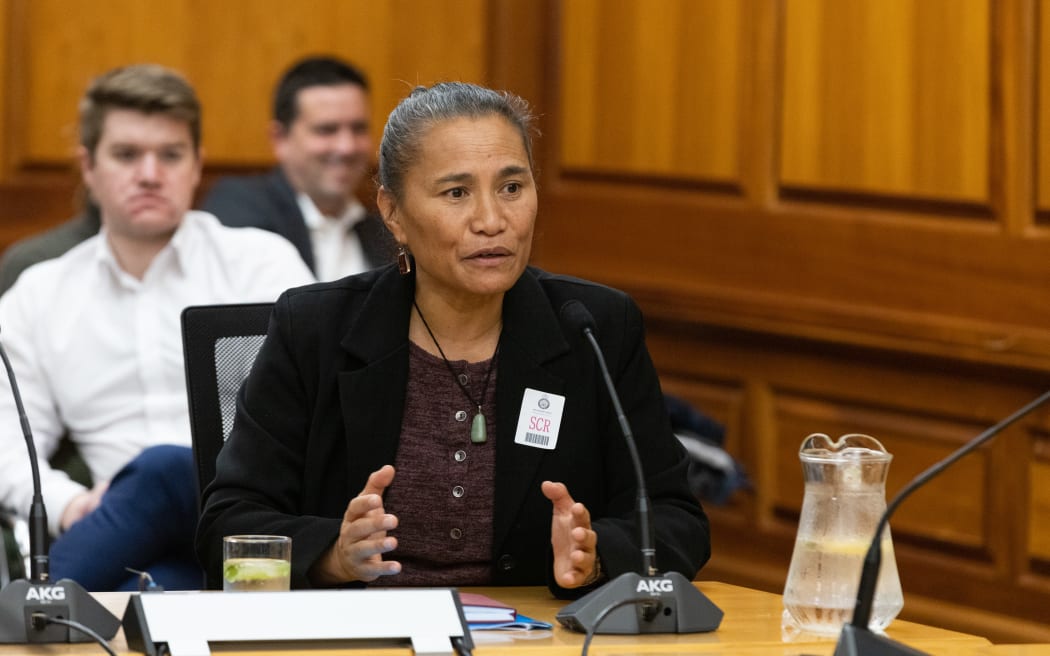 Human Rights Commission EEO Commissioner Saunoamaali'i Dr Karanina Sumeo gives evidence to Parliament's Justice Select Committee.