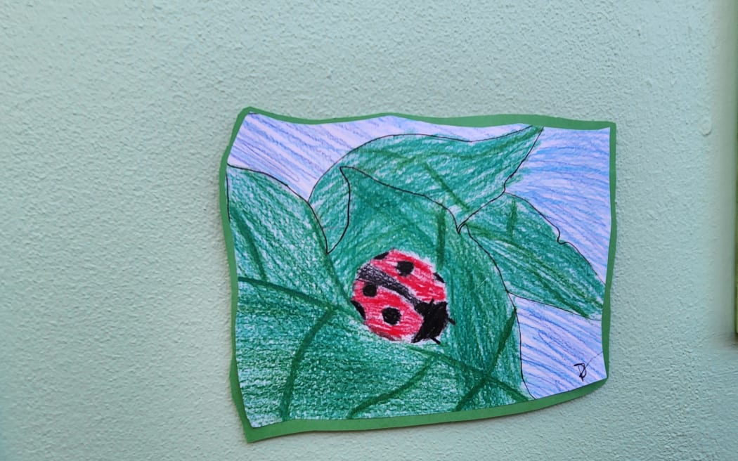 Pictures and artwork of bugs made by children from local schools on display at the memorial for murdered US student Kyle Whorrall.