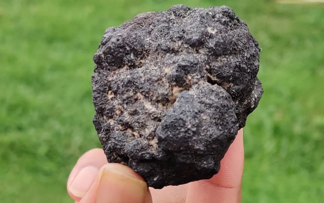 A rock nodule rich in manganese, copper, cobalt and nickel is seen in 2023 in Bhubaneshwar, India. The country's Deep Ocean Mission harvested the specimen to extract minerals used in batteries and solar panels.