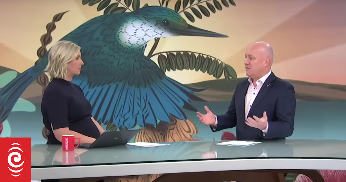 Midweek Mediawatch - chunking out some decision gates | RNZ News