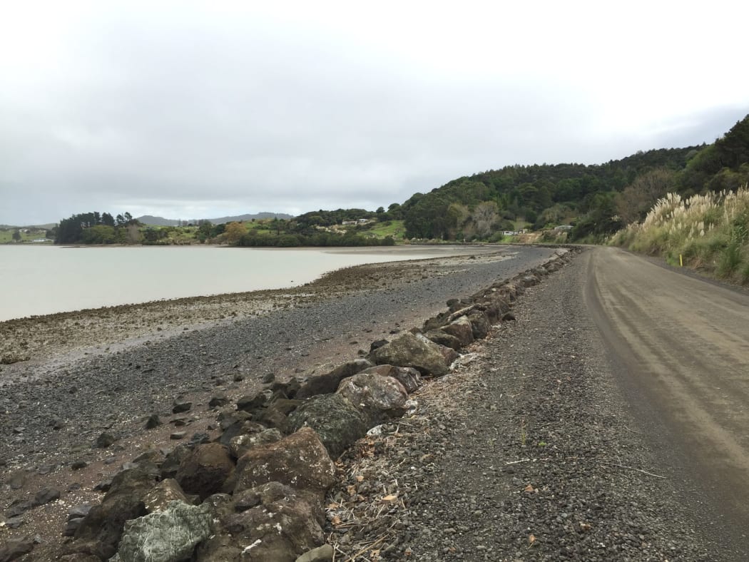 Hokianga road in Northland