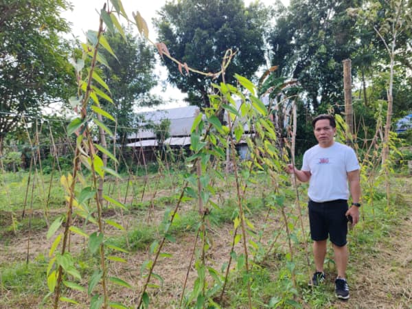 Picture of Dennis Jomoc with ube tubers.