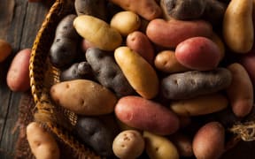 Raw organic fingerling potatoes in a basket.