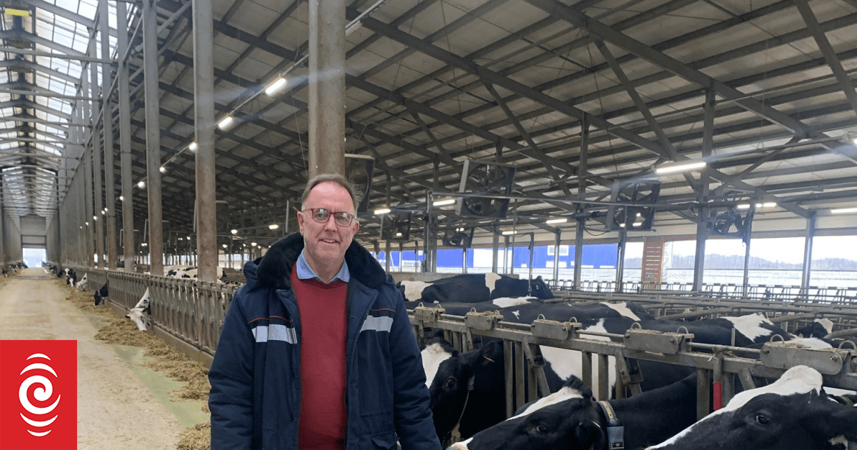 Country Life: A Kiwi's life in the world's largest dairy farms