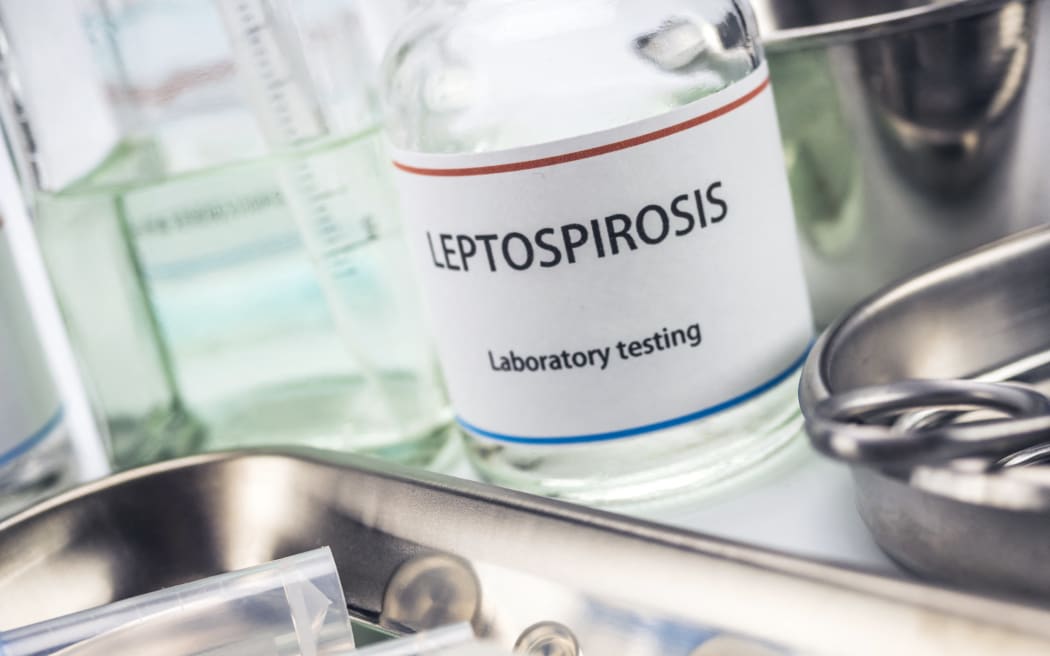 Test for leptospirosis in laboratory, conceptual image. 
Generic leptospirosis, health