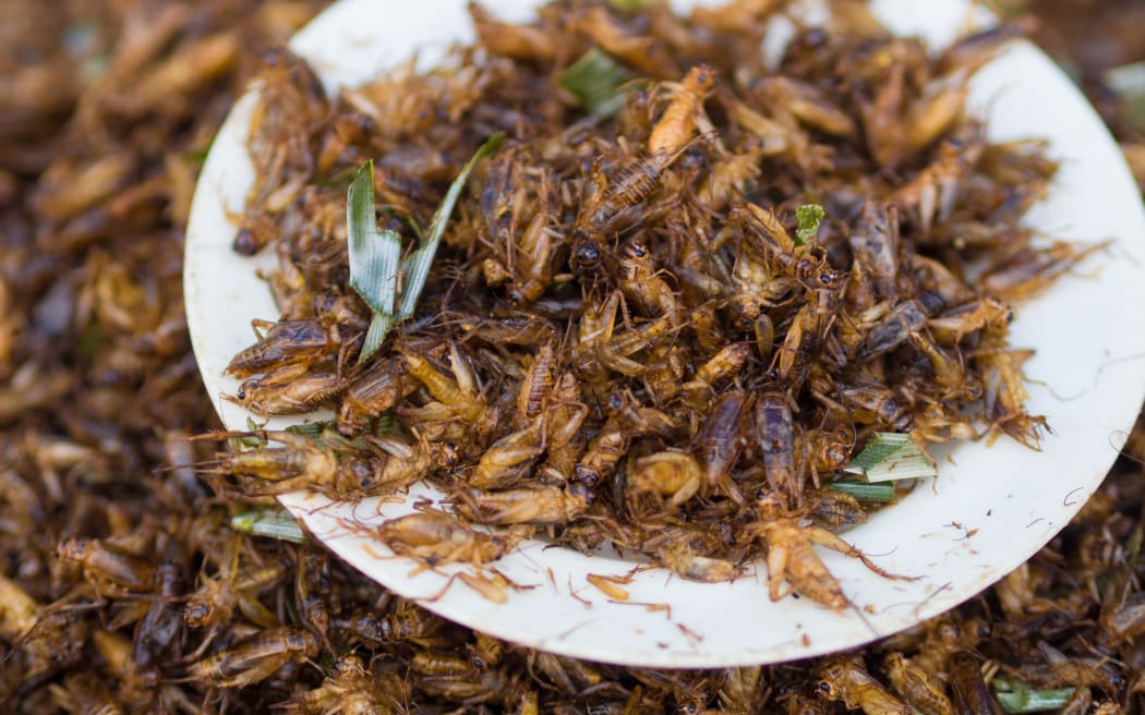 Crickets on a plate