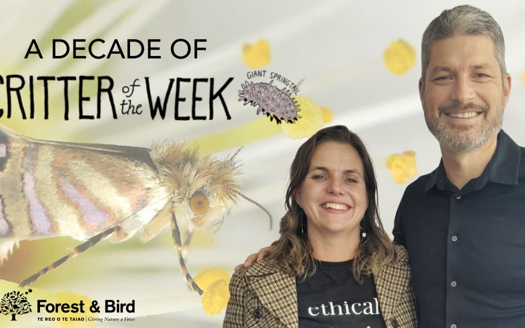 Invitation to COTW live event