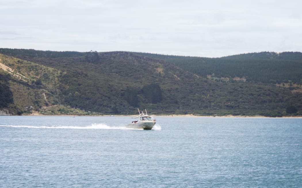 A boat going through the Hokianga Harbour