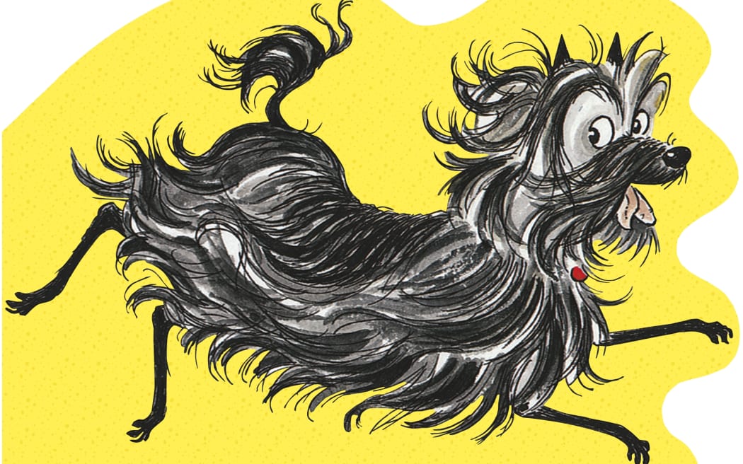 Hairy MacLary