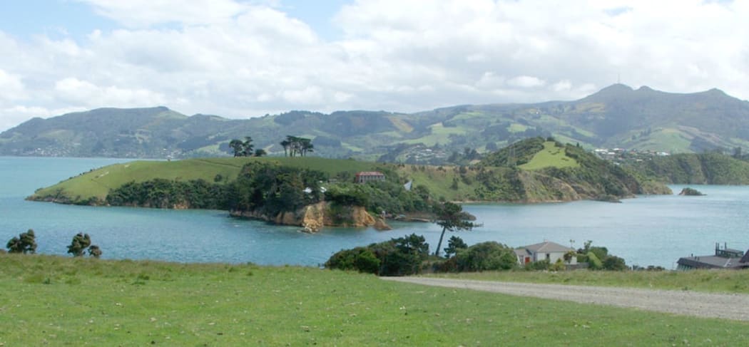 Quarantine Island Kamau Taurua