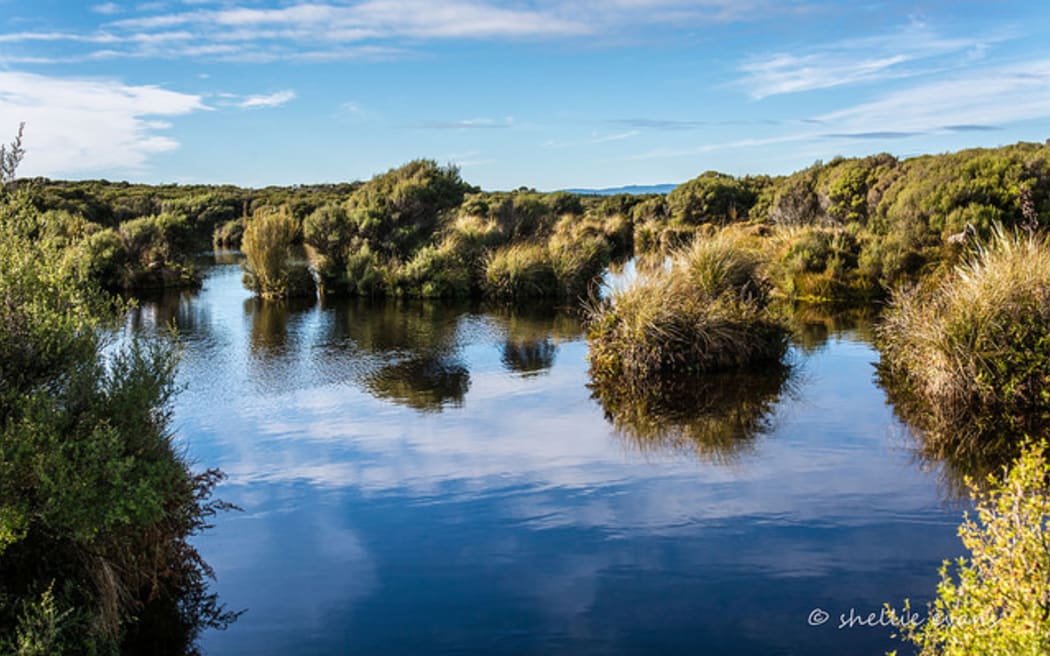 Waituna Lagoon