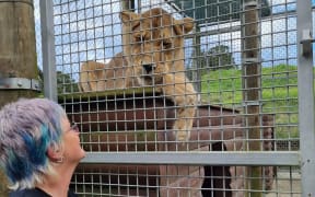 Janette Vallance with one of the sanctuary's lions.