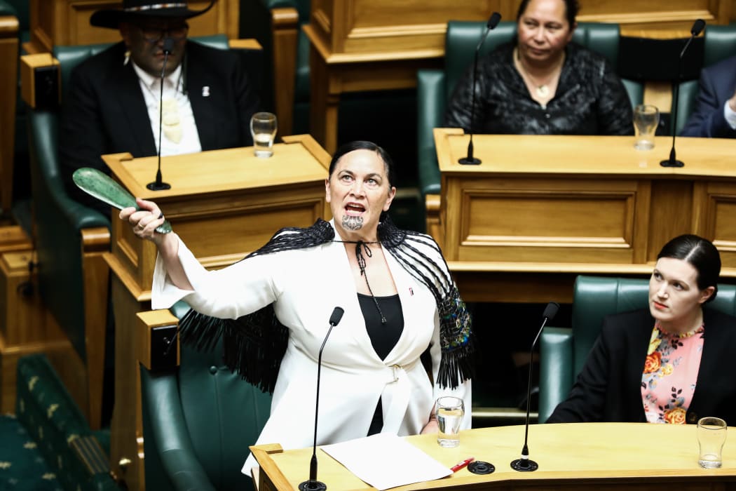 Te Paati Māori MP Debbie Ngarewa-Packer gives her maiden speech at Parliament