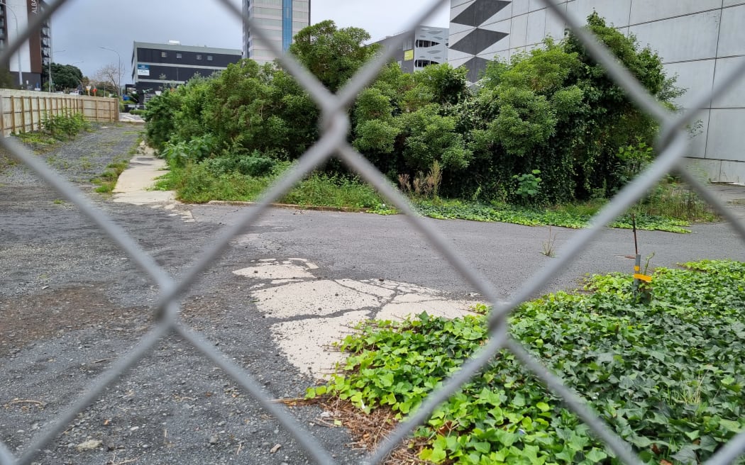 A 2875m2 site on Auburn Street in Takapuna could be the site of North Shore's first major build-to-rent development.