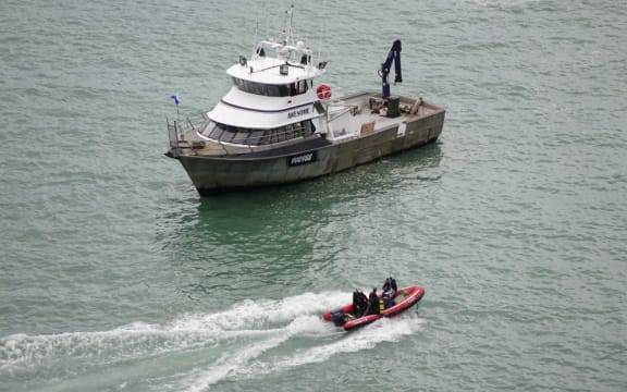 A chartered boat arrived at Blue Cod Bay to begin the operation just before 9am.