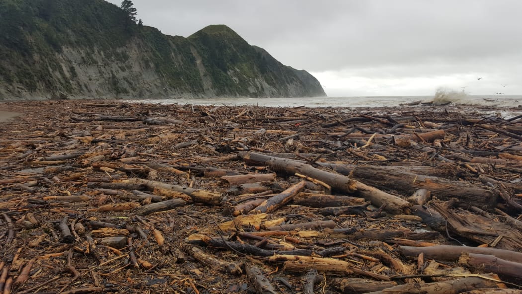 Logs wash up on Tologa Bay beach after flooding in the area.