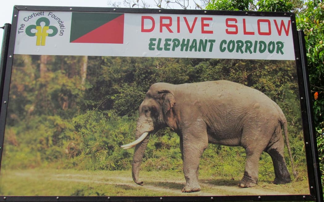 Elephant road sign in India