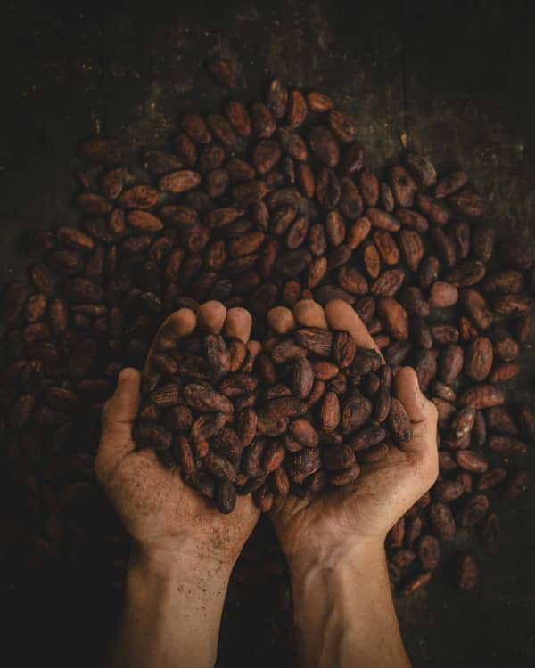 hands with cacao
