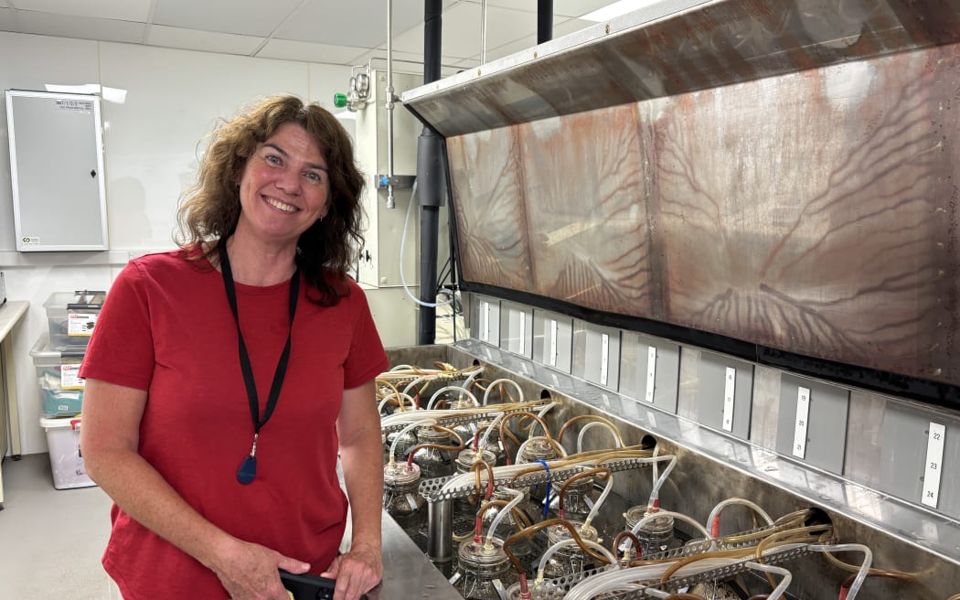 Kate is standing beside a large metal container filled with glass bottles that have tubes coming in and out of them. She's turned towards the camera, smiling, with a red t-shirt on, and a long white skirt.