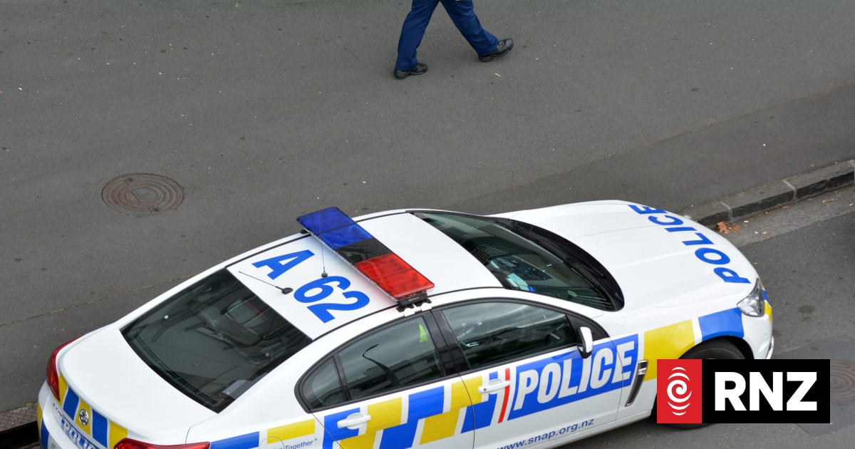 Four youth in court after police pursuit in West Auckland | RNZ