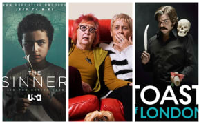 Lara Strongman reviews The Sinner, Goggle Box and Toast of London