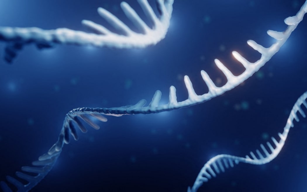 Illustration of RNA (ribonucleic acid).