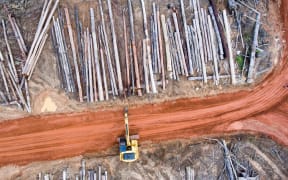 Heavy equipment is used to pile the trunks of felled trees that will be unsustainably burned by Korindo's plantation company PT Papua Agro Lestari.