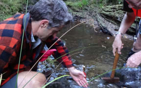 GNS Science palaeontologists James Crampton, left, and John Simes. Pete Shaw (in the background) manages the ecological restoration of the Maungataniwha forests for the Forest Lifeforce Restoration Trust.